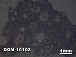 Thin Section Photo of Sample DOM 10102 at 1.25X Magnification in Reflected Light
