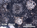 Thin Section Photo of Sample DOM 10102 at 2.5X Magnification in Plane-Polarized Light