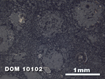 Thin Section Photo of Sample DOM 10102 at 2.5X Magnification in Reflected Light