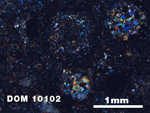 Thin Section Photo of Sample DOM 10102 at 2.5X Magnification in Cross-Polarized Light