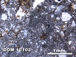 Thin Section Photo of Sample DOM 10103 at 2.5X Magnification in Plane-Polarized Light