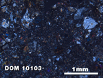 Thin Section Photo of Sample DOM 10103 at 2.5X Magnification in Cross-Polarized Light