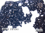 Thin Section Photo of Sample DOM 10104 at 1.25X Magnification in Plane-Polarized Light
