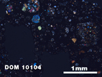 Thin Section Photo of Sample DOM 10104 at 2.5X Magnification in Cross-Polarized Light