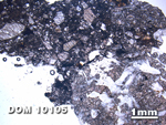 Thin Section Photo of Sample DOM 10105 at 1.25X Magnification in Plane-Polarized Light