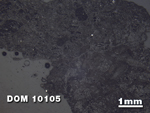 Thin Section Photo of Sample DOM 10105 at 1.25X Magnification in Reflected Light
