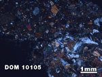 Thin Section Photo of Sample DOM 10105 at 1.25X Magnification in Cross-Polarized Light