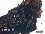 Thin Section Photo of Sample DOM 10114 in Plane-Polarized Light with 1.25X Magnification