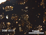 Thin Section Photo of Sample DOM 10114 in Plane-Polarized Light with 2.5X Magnification