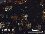 Thin Section Photo of Sample DOM 10114 in Cross-Polarized Light with 2.5X Magnification