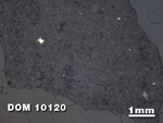 Thin Section Photo of Sample DOM 10120 at 1.25X Magnification in Reflected Light