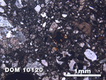Thin Section Photo of Sample DOM 10120 at 2.5X Magnification in Plane-Polarized Light