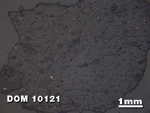 Thin Section Photo of Sample DOM 10121 at 1.25X Magnification in Reflected Light