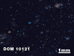 Thin Section Photo of Sample DOM 10121 at 1.25X Magnification in Cross-Polarized Light