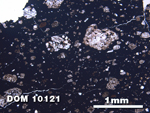 Thin Section Photo of Sample DOM 10121 at 2.5X Magnification in Plane-Polarized Light