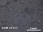 Thin Section Photo of Sample DOM 10121 at 2.5X Magnification in Reflected Light