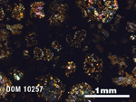 Thin Section Photo of Sample DOM 10257 in Cross-Polarized Light with 2.5X Magnification