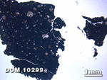 Thin Section Photo of Sample DOM 10299 at 1.25X Magnification in Plane-Polarized Light