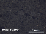 Thin Section Photo of Sample DOM 10299 at 2.5X Magnification in Reflected Light