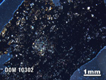 Thin Section Photo of Sample DOM 10302 in Cross-Polarized Light with 1.25X Magnification