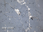 Thin Section Photo of Sample DOM 10302 in Reflected Light with 20x Magnification