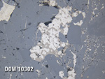 Thin Section Photo of Sample DOM 10302 in Reflected Light with 20x Magnification