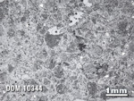 Thin Section Photo of Sample DOM 10344 in Reflected Light with 1.25X Magnification