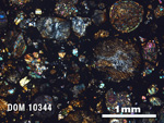 Thin Section Photo of Sample DOM 10344 in Cross-Polarized Light with 2.5X Magnification