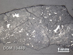 Thin Section Photograph of Sample DOM 10440 in Reflected Light