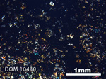 Thin Section Photograph of Sample DOM 10440 in Cross-Polarized Light
