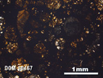 Thin Section Photo of Sample DOM 10467 in Plane-Polarized Light with 2.5X Magnification