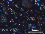 Thin Section Photo of Sample DOM 10490 in Cross-Polarized Light with 2.5x Magnification