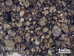 Thin Section Photo of Sample DOM 10597 in Plane-Polarized Light with 1.25X Magnification