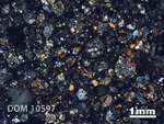 Thin Section Photo of Sample DOM 10597 in Cross-Polarized Light with 1.25X Magnification