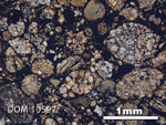 Thin Section Photo of Sample DOM 10597 in Plane-Polarized Light with 2.5X Magnification