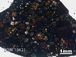 Thin Section Photo of Sample DOM 10621 in Plane-Polarized Light with 1.25x Magnification