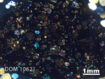 Thin Section Photo of Sample DOM 10621 in Cross-Polarized Light with 1.25x Magnification