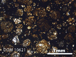 Thin Section Photo of Sample DOM 10621 in Plane-Polarized Light with 2.5x Magnification
