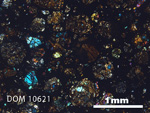 Thin Section Photo of Sample DOM 10621 in Cross-Polarized Light with 2.5x Magnification