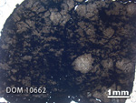 Thin Section Photo of Sample DOM 10662 in Plane-Polarized Light with 1.25x Magnification