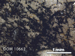Thin Section Photo of Sample DOM 10662 in Plane-Polarized Light with 2.5x Magnification