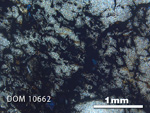 Thin Section Photo of Sample DOM 10662 in Cross-Polarized Light with 2.5x Magnification