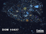 Thin Section Photo of Sample DOM 10837 at 1.25X Magnification in Cross-Polarized Light