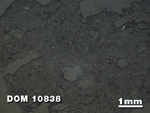 Thin Section Photo of Sample DOM 10838 at 1.25X Magnification in Reflected Light
