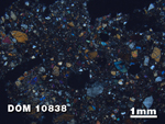 Thin Section Photo of Sample DOM 10838 at 1.25X Magnification in Cross-Polarized Light