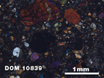 Thin Section Photo of Sample DOM 10839 at 2.5X Magnification in Cross-Polarized Light