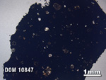 Thin Section Photo of Sample DOM 10847 in Plane-Polarized Light with 1.25X Magnification