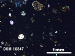 Thin Section Photo of Sample DOM 10847 in Cross-Polarized Light with 2.5X Magnification