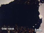 Thin Section Photo of Sample DOM 10848 in Plane-Polarized Light with 1.25X Magnification