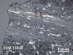 Thin Section Photo of Sample DOM 10848 in Reflected Light with 1.25X Magnification